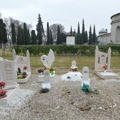 P1180524    Cimitero Islamico.
